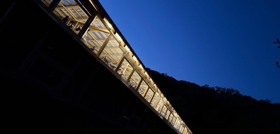 WhatsApp Image 2025-12-01 at 18.54.56 (1)