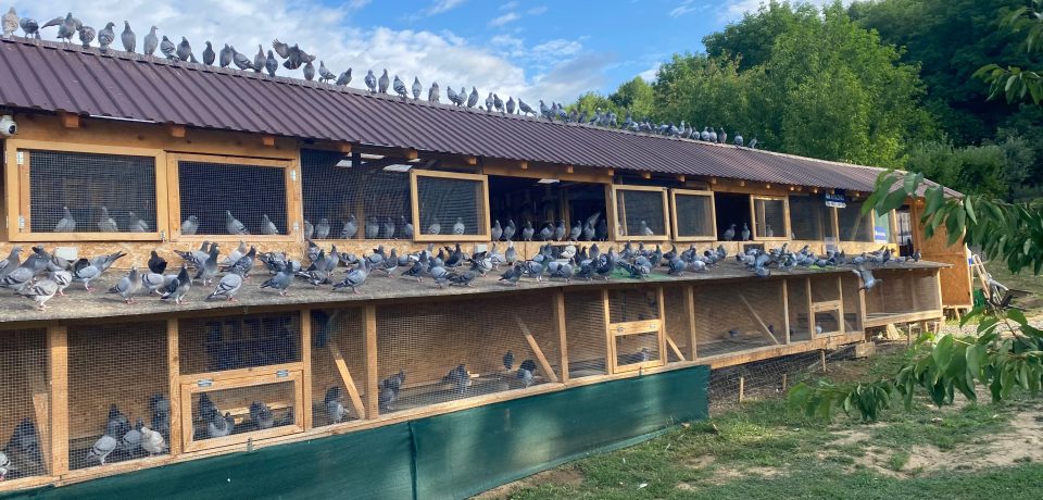 WhatsApp Image 2025-12-01 at 18.54.57 (1)