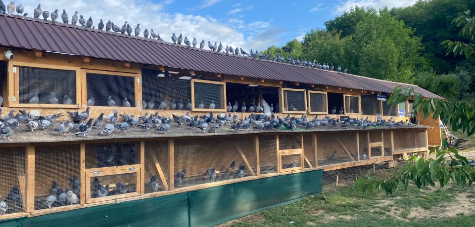 WhatsApp Image 2025-12-01 at 18.54.57